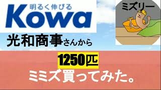 光和商事さんから1250匹のミミズを買ってみた！