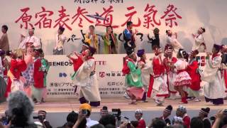 総踊り　2013スーパーよさこい　みんなでよさこい　原宿口