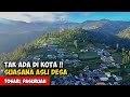 HAL INI TIDAK ADA DI KOTA !! SUASANA DESA SUKU TENGGER BROMO - Cerita Desa Tosari, Bromo, Jawa Timur