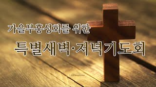 [서산성결교회] 특별저녁기도회 2022년 11월 9일 / 예수님의 음성듣기 - 김형배 담임목사 [마태복음 4:23-25]