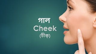 মানবদেহের কিছু গুরুত্বপূর্ণ শব্দার্থ যা আপনার জানা দরকার।। Some important words of the human body