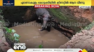 ചെറിയ കൊമ്പൊക്കെയുണ്ട്...  കാട്ടാന കിണറിൽ വീണു