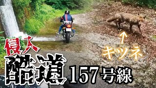 酷道VS自然！【Z900RS】【ZX14R】【SR400】【ゼファー400χ】