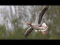 A trip to Filey Dams Nature Reserve on a rainy day