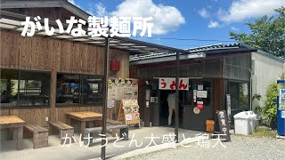 【がいな製麺所】加西市ののどかな田園地帯にある行列のできるうどん屋　がいな製麺所でかけうどん大盛と鶏天