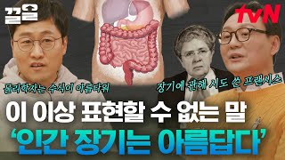 ※공포물 아닙니다※ 장기의 아름다움을 주장하는 사회개혁가 '프랜시스', 죽음과 관련된 시스템이 완성되기까지의 노력은?? | 알쓸인잡