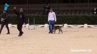 Selection - Varoline Charrier + Idylle du Musher/Tervueren - France