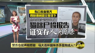 警方仓促声明惹疑   马大连环猫咪杀手是狗是人? | 八点最热报 23/12/2024