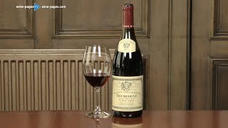 Louis Jadot Couvent des Jacobins Pinot Noir 2015, wine review