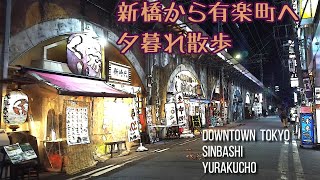 新橋から有楽町へ昭和なガード下　　　　　　　　　　DOWNTOWN TOKYO SHINBASHI YURAKUCHO 銀座コリドー街、有楽町産直横丁、日比谷 OKUROJI(オクロジ)