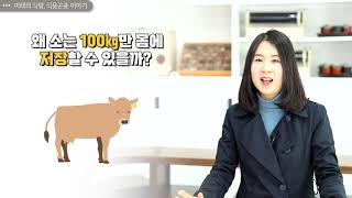 09  미래의 식량, 식용곤충 이야기