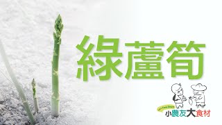 【小農友大食材】清晨三點採收的五星級美味~綠蘆筍。雲林水林陳爸陳媽