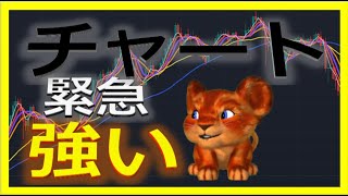 【仮想通貨ビットコイン最新】今後のポイント！初心者でもわかるテクニカル分析