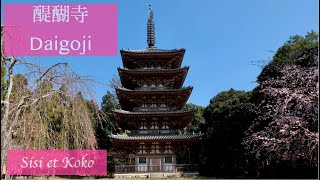 京都 醍醐寺（日本語音声, Subtitle: English）