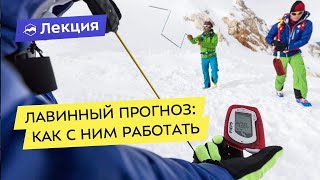 Лавинный прогноз: как с ним работать