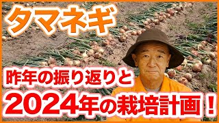 家庭菜園や農園で2024年のタマネギ栽培計画！昨年の栽培振り返りと今年度の対策！苗の準備や上手な植え付け、タマネギの育て方を徹底解説！【農園ライフ】