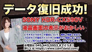 【ビデオカメラの画面が緑色砂嵐】SONY HDR-CX590V 東京都練馬区