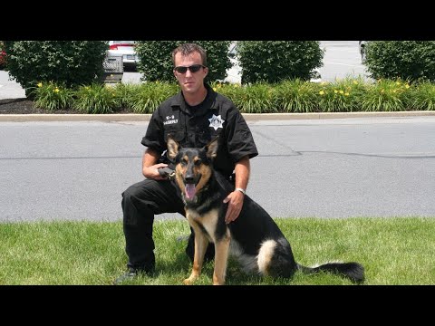 Fallen Deputy's K9 Partner Receives Full Police Memorial - YouTube