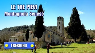 TREKKING: Le tre Pievi (Montagnola Senese) - con ilrifugiotrekking - di Sergio Colombini