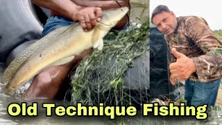 Snakehead Maral Fishing video zara Hat ke! Extreme Murrel Fishing/Farming