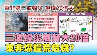 比病毒還兇殘! 二波蝗災威脅大20倍 東非爆糧荒危機? 國民大會 20200413 (3/4)