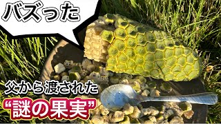 【Xで話題！】父から渡された“謎の果実”に衝撃！モンステラは観葉植物？違います！美味しいフルーツです！育てようMonstera deliciosa！