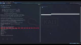 Protostar Stack5 obtaining shell through buffer overflow
