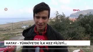 HATAY - Türkiye'de ilk kez Filistin nektarkuşu görüldü