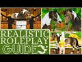 My Star Stable Realistic Roleplay Guide II How I Make My Videos