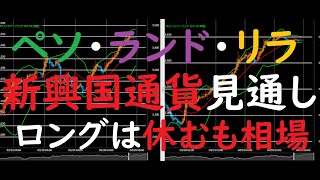 【新興国通貨】FX今後の見通し　4/5（月）以降（ペソ・ランド・リラ）