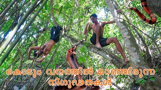 Hidden Place In Idukki| Adventure Travel Vlog | The Most Haunted Forest | Unexplored Hidden Beauty|