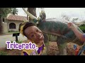 dino dance can you guess the dinosaur @blippi ft. ‪lennypearce‬