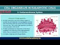 Endomembrane System | Cell The Unit of Life | Cell Wall | CBSE Class 11th Biology | NEET 2025 |Edall