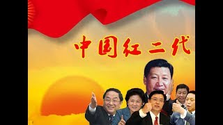 红二代不接受去邓扬习，今年改革开放40年纪念日，集体抗拒习近平《建民论推墙312》