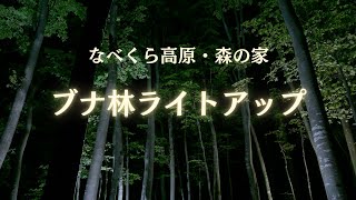 【自主制作CM】なべくら高原・森の家「ブナ林ライトアップ」