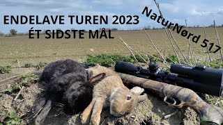 JAGTEN PÅ DEN SORTE KANIN - ENDELAVE 2023