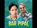 bar pipal