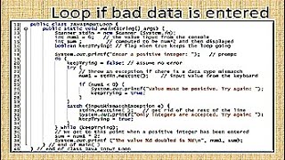Java Input Loop
