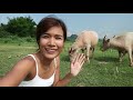 เที่ยวหลวงพระบาง วังเวียง ประเทศลาว 10 วัน luang prabang vang vieng laos x pond s