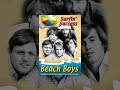 Beach Boys: Surfin' Success