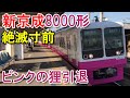 【絶滅寸前】新京成8000形　ピンクの狸　8518編成引退　railway　train　shin keisei