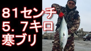 静岡県御前崎ルアー釣り！８１センチ５．７キロのブリを釣り上げる！コノシロ、イワシ、ブリ、サワラ、シーバス爆釣