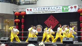 2018戊戌年春节西冒基宏武术表演(七)