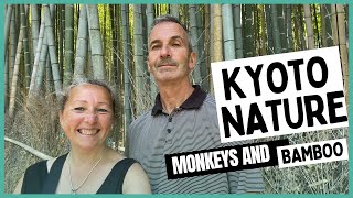 EXPLORING ARASHIYAMA BAMBOO GROVE AND MONKEY PARK IN KYOTO