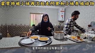 霍贾特在山区待不住总想往外跑小妹叫他去要嫁妆，阿里和法尔赞要养殖牲畜，米娜婆婆家最新后续765#米娜#纪录片