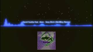 David Guetta Feat. Akon - Sexy Bitch (SkrillBoy Remix)