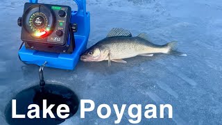 FIRST ICE!! Lake Poygan Walleyes & White Bass