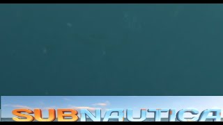 WHAT WAS THAT! (subnautica)