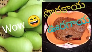 సొరకాయ నిల్వ పచ్చడి easy గా ఎలా చేయాలో చూద్దాం