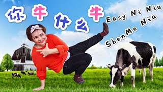 Easy Ni Niu Shenme Niu 你牛什么牛 - Line Dance by Kenny Teh May 2020 ( Demo \u0026 Walkthrough)